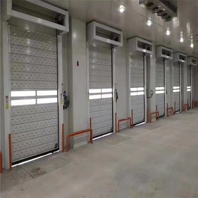 अनुकूलित TM-D04 स्वचालित रोल अप शटर विशेषताओं के साथ सर्पिल सुरक्षा गेराज दरवाजा