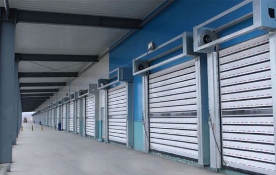 Aluminum Alloy Fire Proofing IP55 Protection Customizable Size High Speed Roller Shutter Security Door